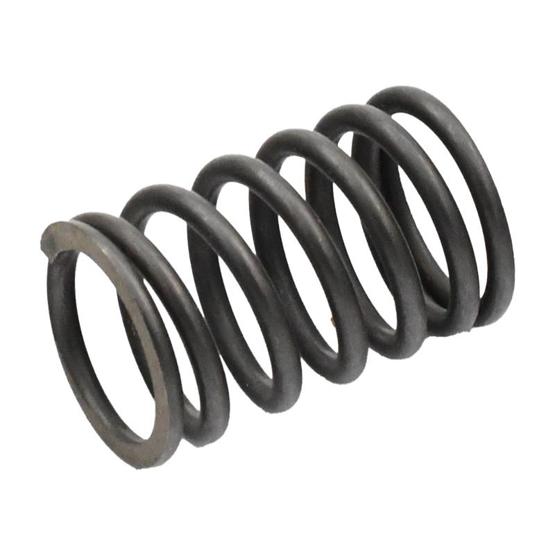 ZUNANJA VZMET VENTILA - PEDA GTS 4T