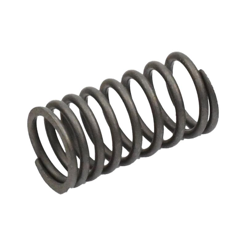 NOTRANJA VZMET VENTILA - PEDA GTS 4T