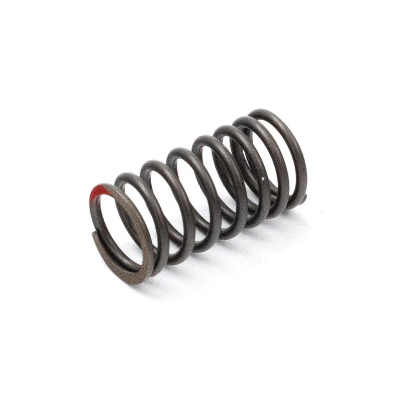 NOTRANJA VZMET VENTILA 3B1 - LONGJIA FIREFOX / ROMA XS