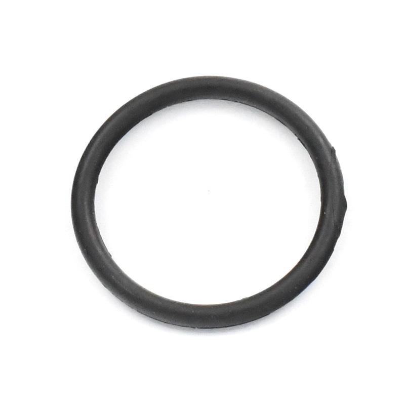 TESNILO O-RING 30,5x3 - VIPARD THERION