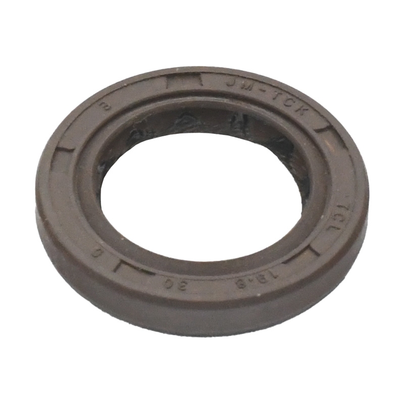 TESNILO OLJNO 19,8x30x5 - BAOTIAN 4T