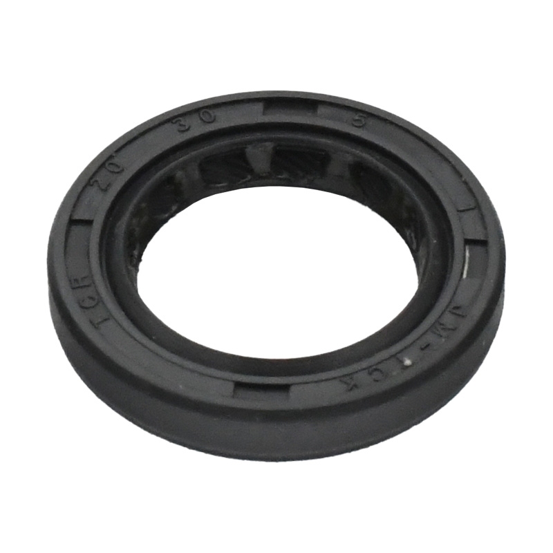 TESNILO OLJNO 20x30x5 - BAOTIAN 4T