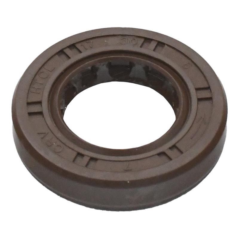 TESNILO OLJNO 17x30x6 - BAOTIAN