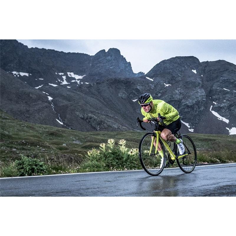 VETROVKA SILVINI GELA - RUMENA