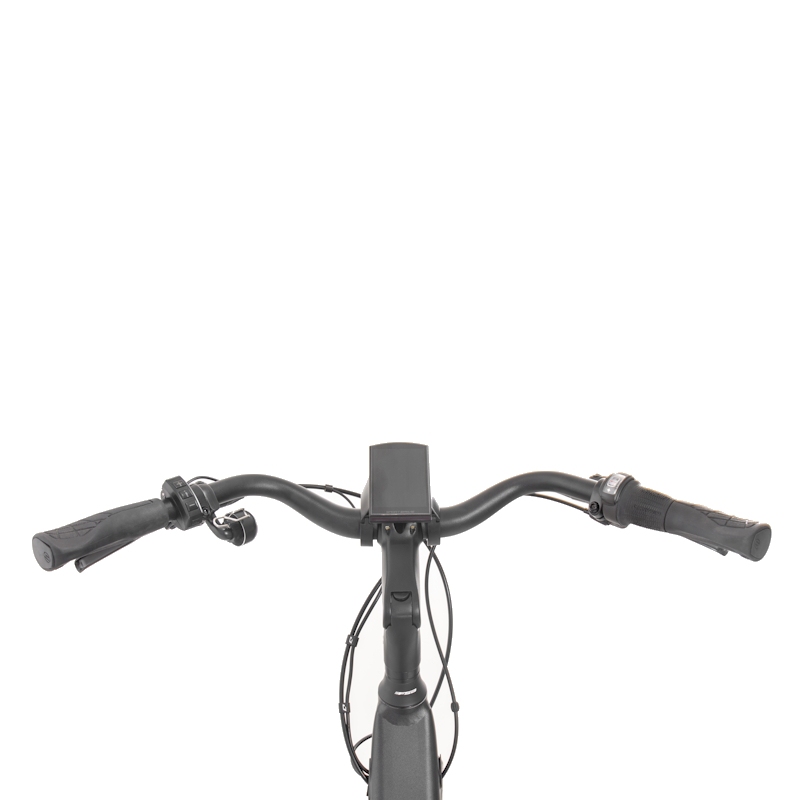 ELEKTRIČNO KOLO ROCK MACHINE CITYRIDE E250