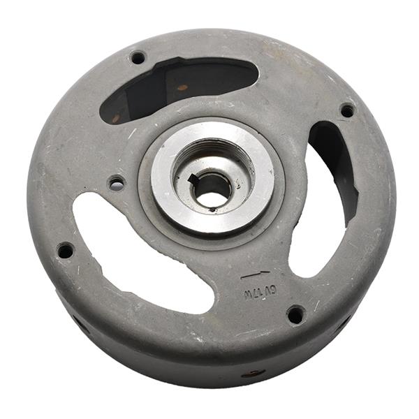 VZTRAJNIK 6V 17W - TOMOS 204274