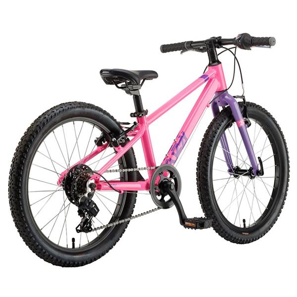 MLADINSKO KOLO FUZZY 20 - ROZA