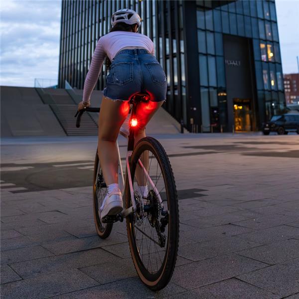 ZADNJA LUČ SIGMA NYTE 10